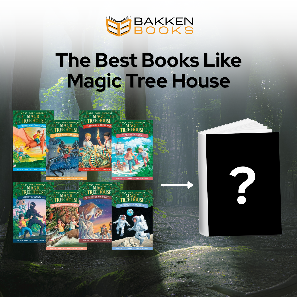 Best Books Like Magic Tree House